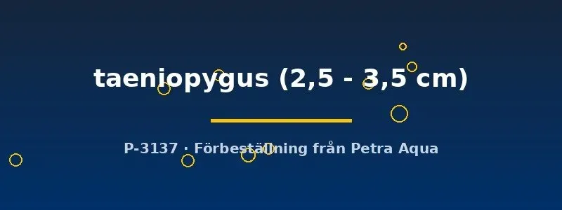 Näsets Ciklidhobby Taeniopygus killifisk 2,5–3,5 cm
