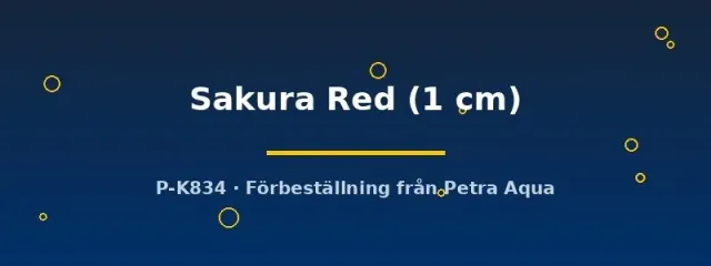 Näsets Ciklidhobby Neocaridina Sakura Red räka 1 cm röd