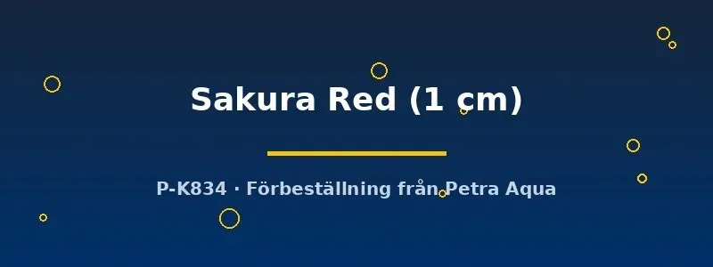 Näsets Ciklidhobby Neocaridina Sakura Red räka 1 cm röd