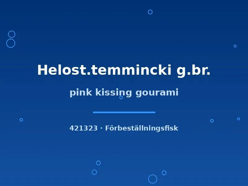 Näsets Pink Kissing pussgurami 3–4 cm rosa