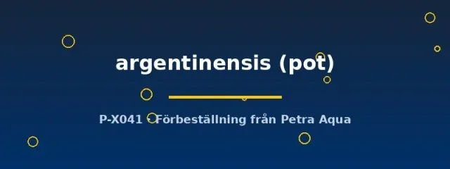 Näsets Ciklidhobby Argentinensis svärdsplanta kruka