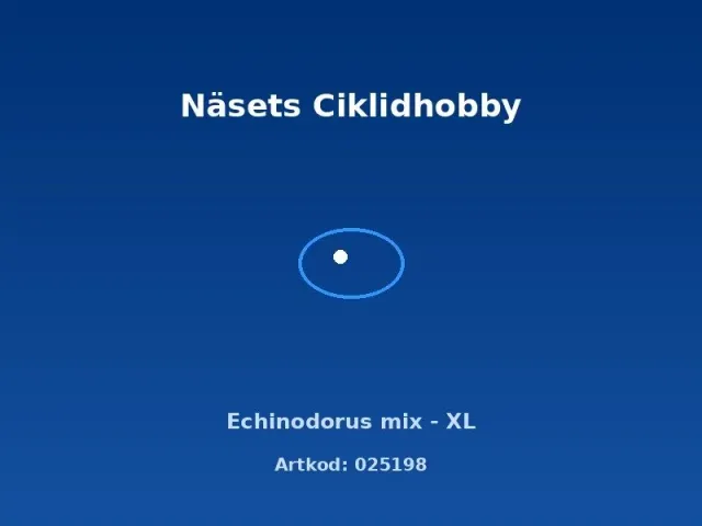 Näsets Echinodorus Mix svärdsplanta XL stor