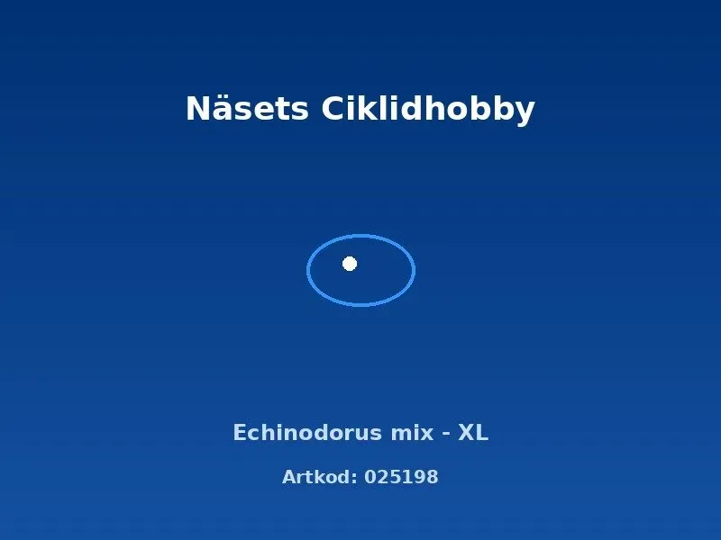 Näsets Echinodorus Mix svärdsplanta XL stor