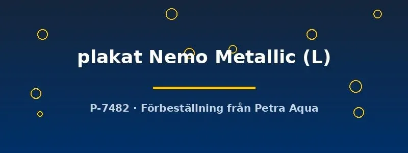 Näsets Ciklidhobby Betta plakat Nemo Metallic kampfisk L par