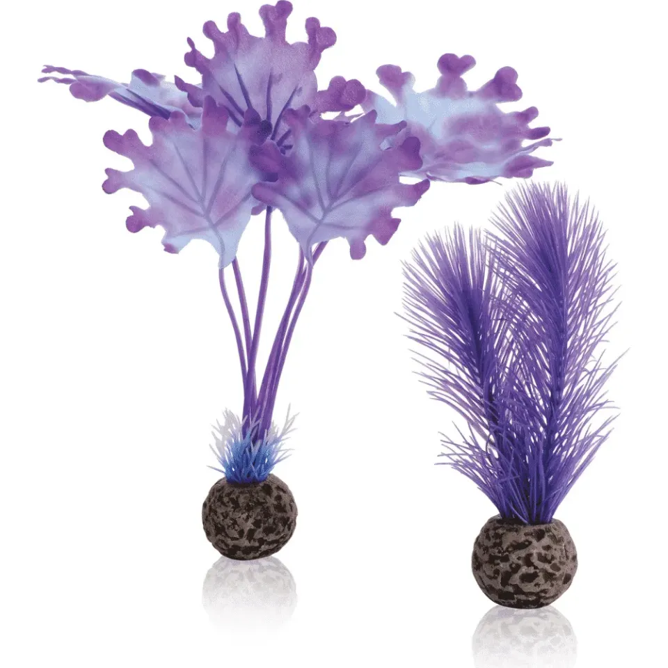 biOrb Kelp set S akvariedekoration lila