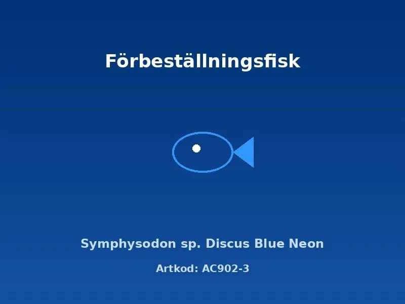 Näsets Ciklidhobby Blue Neon diskus 7 cm akvariefisk