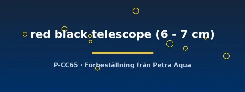 Näsets Ciklidhobby Red Black Telescope 6-7 cm guldfisk