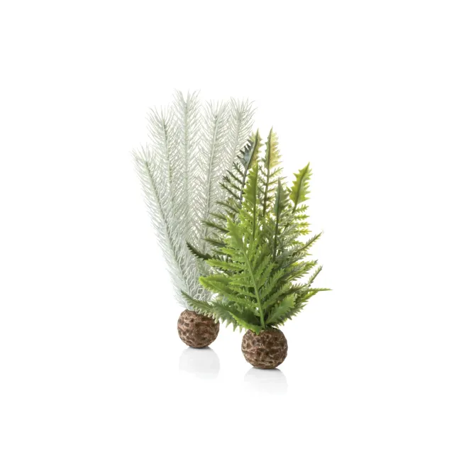 biOrb Small Thistle Fern Plant Set akvarieväxt 20 cm
