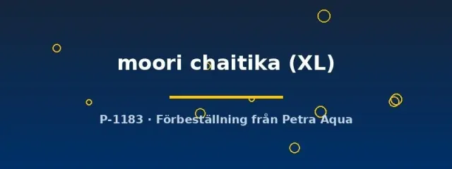 Näsets Ciklidhobby Tropheus moori chaitika ciklid XL algätare