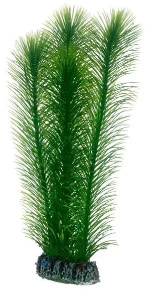 Hobby Dekorväxt Mayaca plastväxt 25 cm