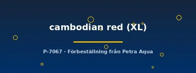 Näsets Ciklidhobby Betta cambodian red kampfisk XL hane
