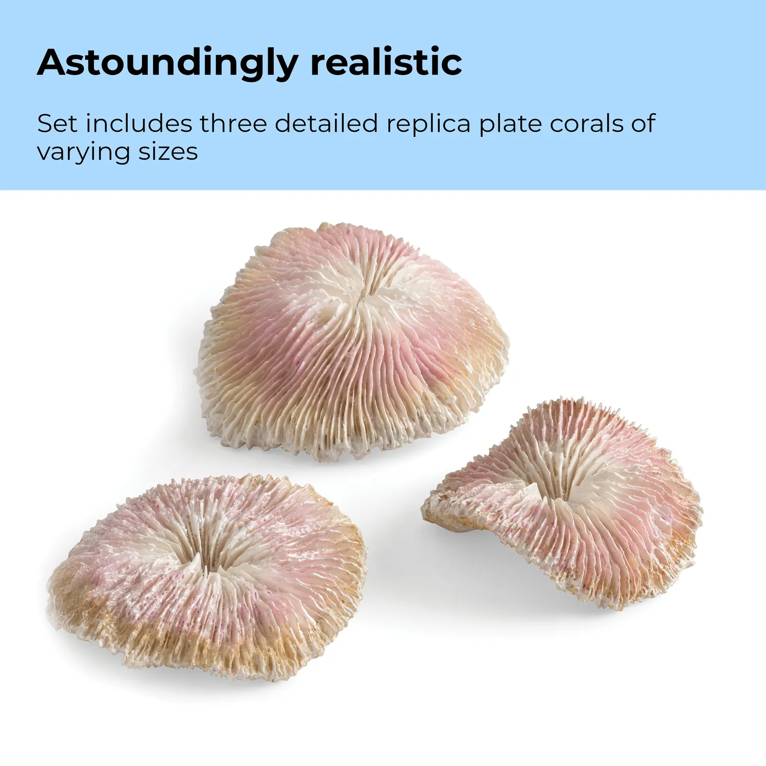 biOrb Plate Coral Set dekoration Natural 3-delar