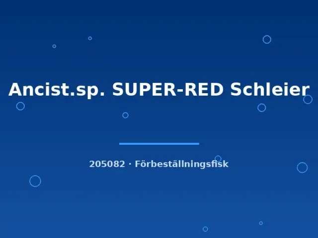 Näsets Ciklidhobby Super-Red Schleier ancistrus akvariefisk 3-4 cm röd