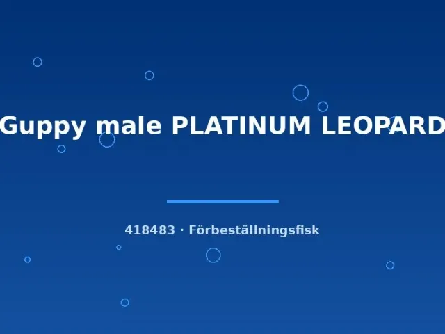 Guppy Platinum Leopard hane lg akvariefisk fläckig