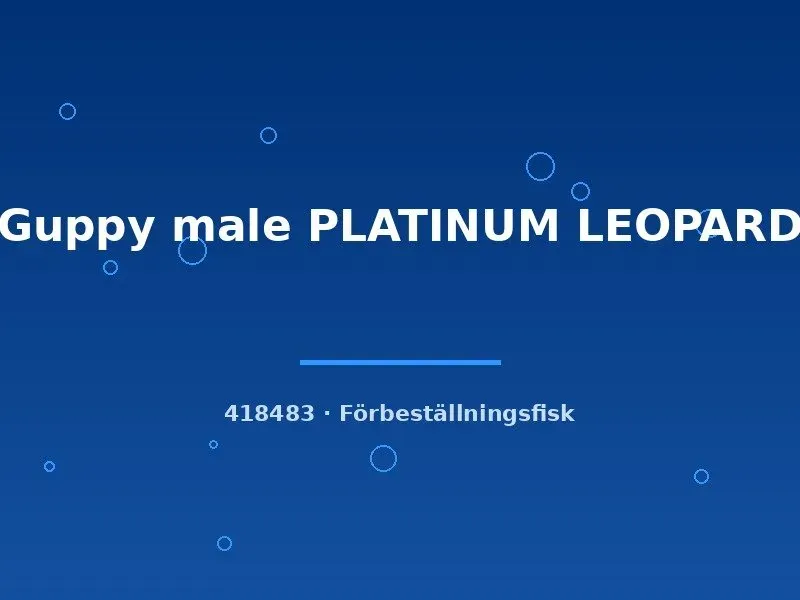 Guppy Platinum Leopard hane lg akvariefisk fläckig