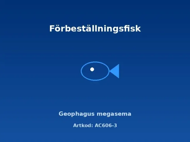 Näsets Ciklidhobby Geophagus megasema ciklid 6–7 cm