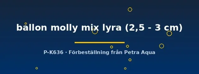 Näsets Ciklidhobby Poecilia latipinna ballon molly mix lyra akvariefisk 2,5–3 cm