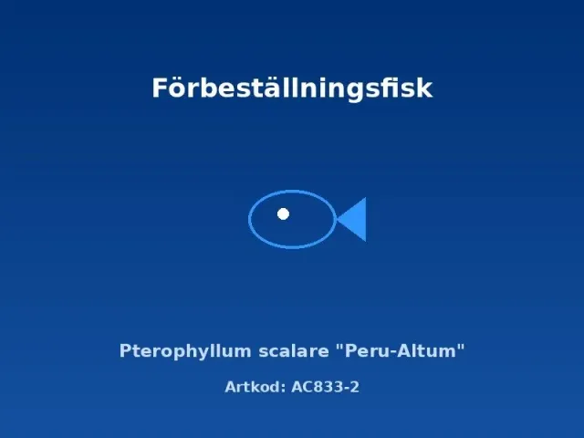 Näsets Ciklidhobby Peru-Altum skalar 4 cm högryggad