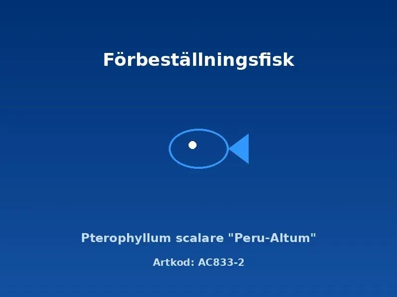 Näsets Ciklidhobby Peru-Altum skalar 4 cm högryggad