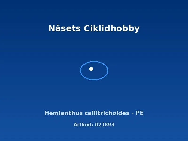 Näsets Ciklidhobby Hemianthus callitrichoides akvarieväxt PE