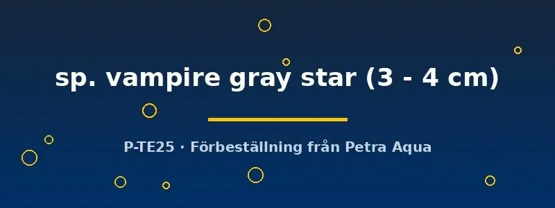 Näsets Ciklidhobby Geosesarma gray star vampyrkrabba 3-4cm