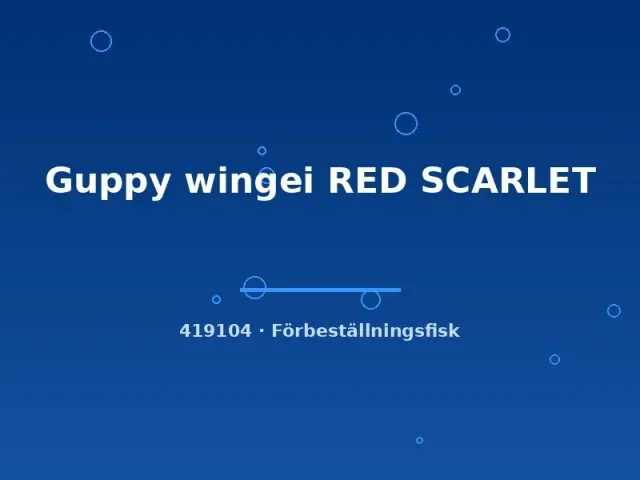 Näsets Guppy wingei Red Scarlet guppy md