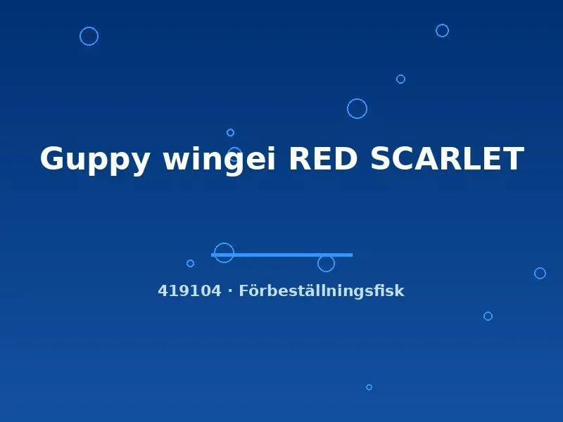 Näsets Guppy wingei Red Scarlet guppy md