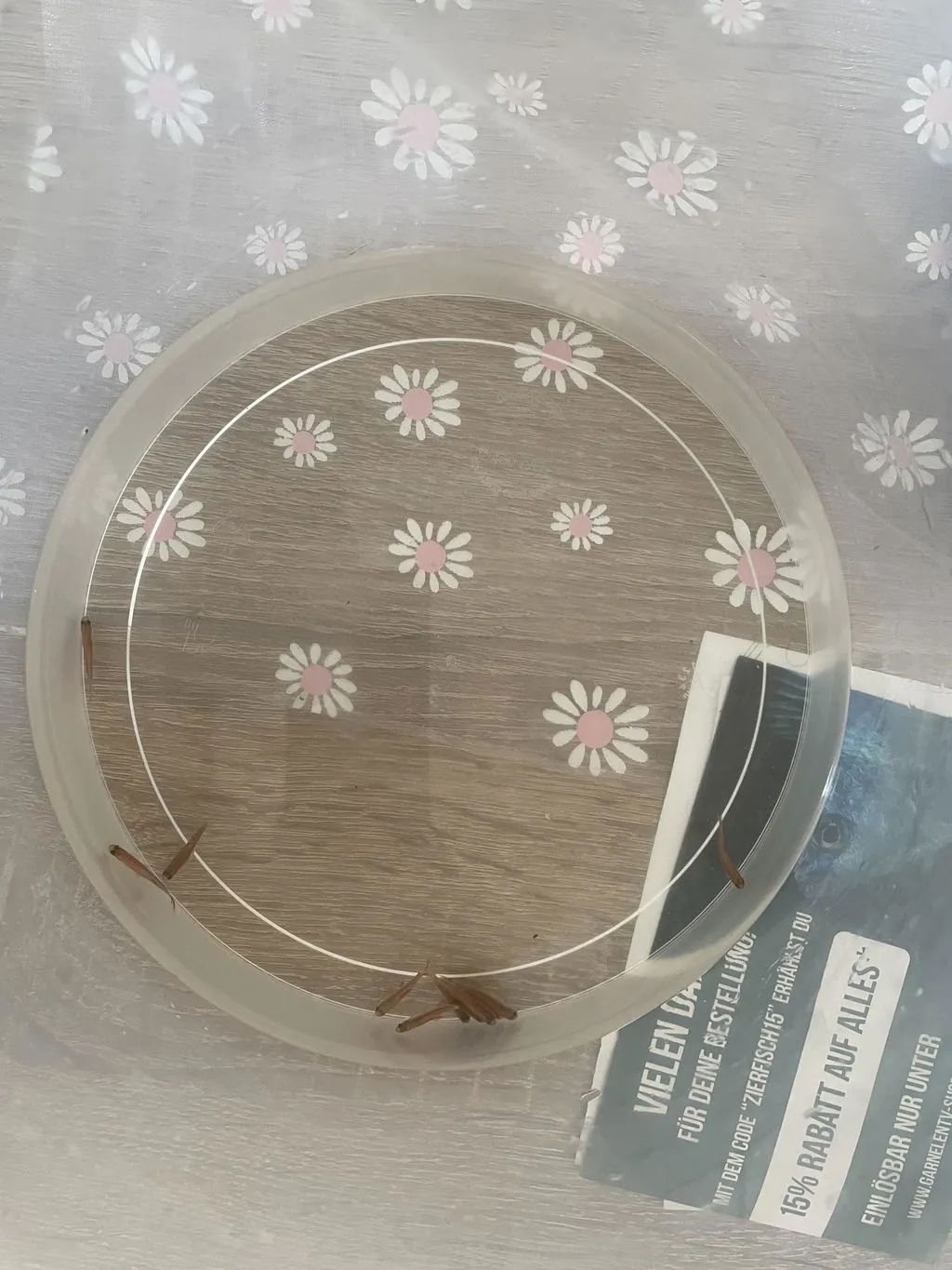 Garnelen TV Perlhuhnbärbling nanofisk Danio margaritatus