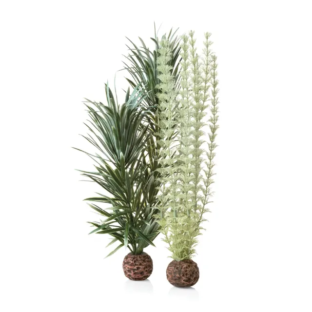 biOrb Ambulia växtset medium akvarieväxt 29cm