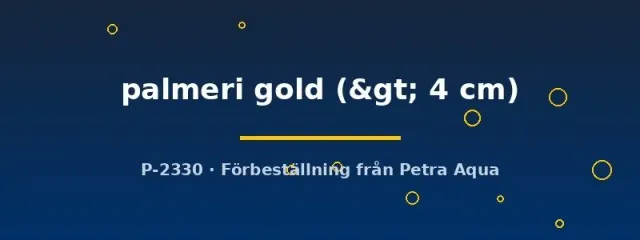 Näsets Ciklidhobby Emperor Tetra Gold tetra +4 cm stim