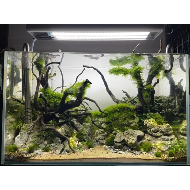 Garnelen TV Akvarieskötsel service 60 liter