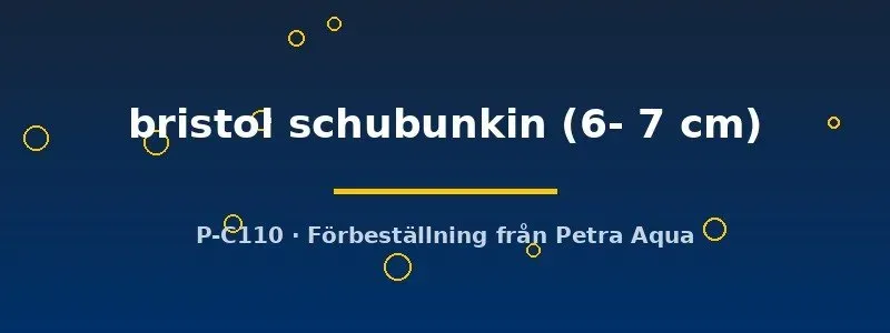 Näsets Ciklidhobby Bristol Schubunkin dammfisk 6–7 cm fläckig