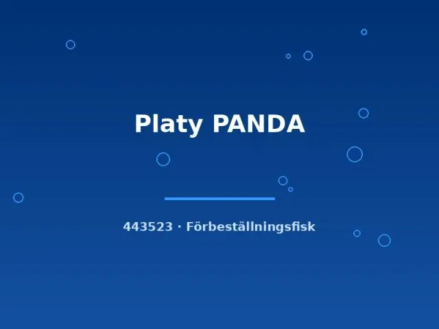 Näsets Ciklidhobby Platy Panda LG platy