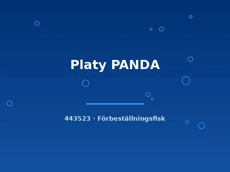 Näsets Ciklidhobby Platy Panda LG platy