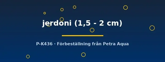 Hara jerdoni dvärgmal 1,5–2 cm akvariefisk
