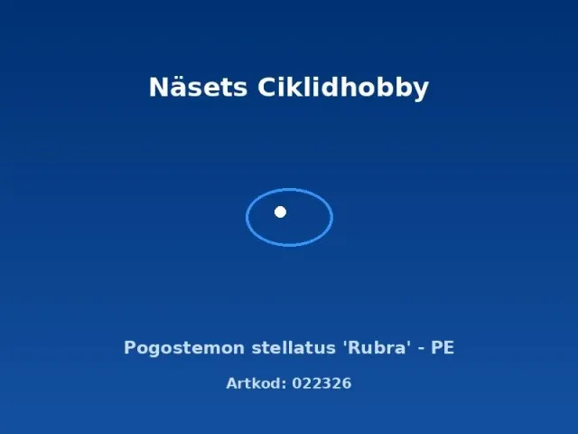 Näsets Ciklidhobby Pogostemon stellatus Rubra akvarieväxt PE