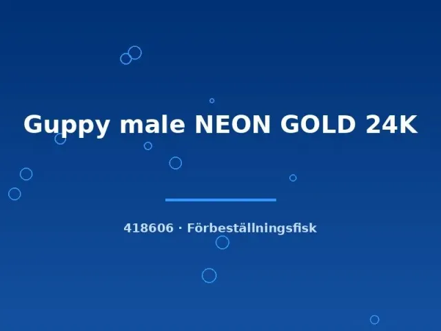 Näsets Ciklidhobby Guppy male NEON GOLD 24K lg akvariefisk hane