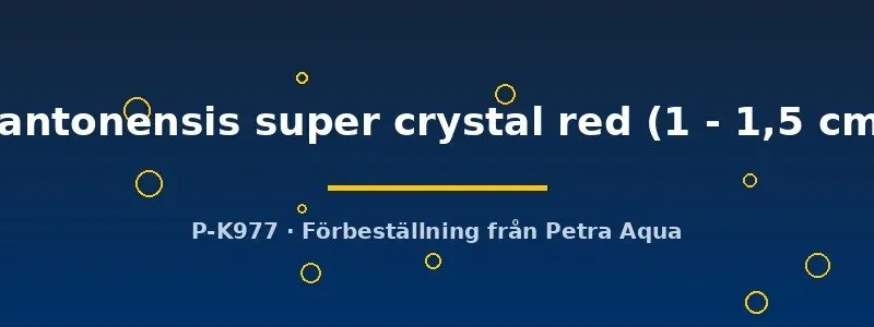 Näsets Ciklidhobby Super Crystal Red räka 1–1,5 cm