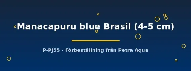 Heros Manacapuru blue Brasil ciklid 4-5 cm lugn