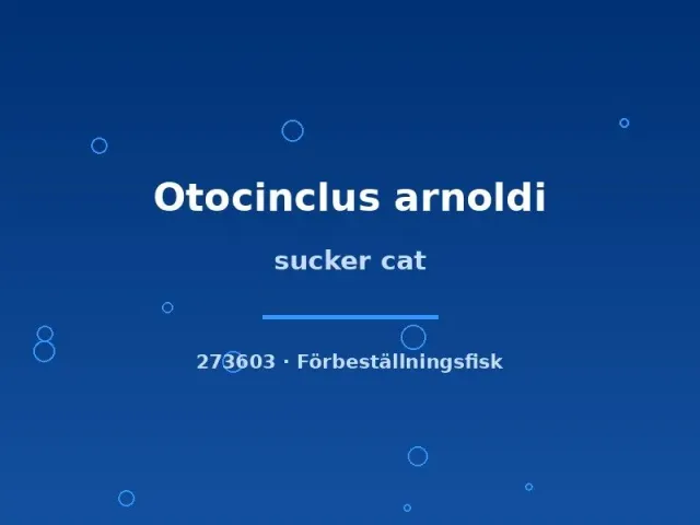 Näsets Ciklidhobby Otocinclus arnoldi algmal md