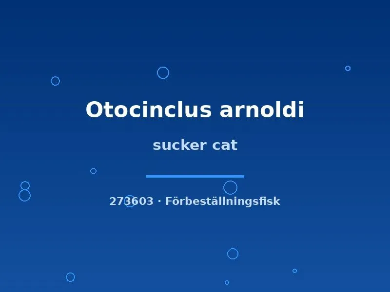 Näsets Ciklidhobby Otocinclus arnoldi algmal md