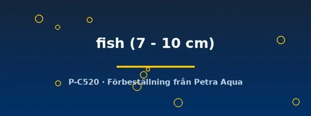 Näsets Ciklidhobby Bait fish foderfisk 7–10 cm rovfisk