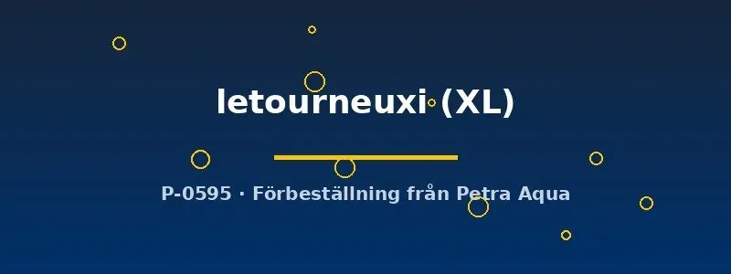 Näsets Ciklidhobby Hemichromis letourneuxi ciklid XL