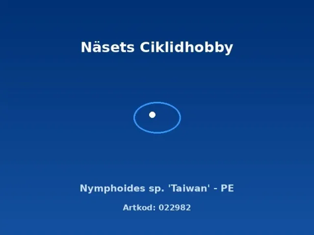 Näsets Ciklidhobby Nymphoides Taiwan akvarieväxt PE flytblad