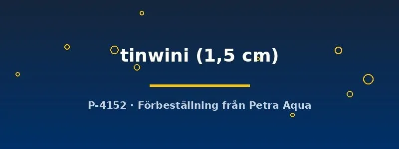 Näsets Ciklidhobby Danio Tinwini stimfisk 1,5 cm