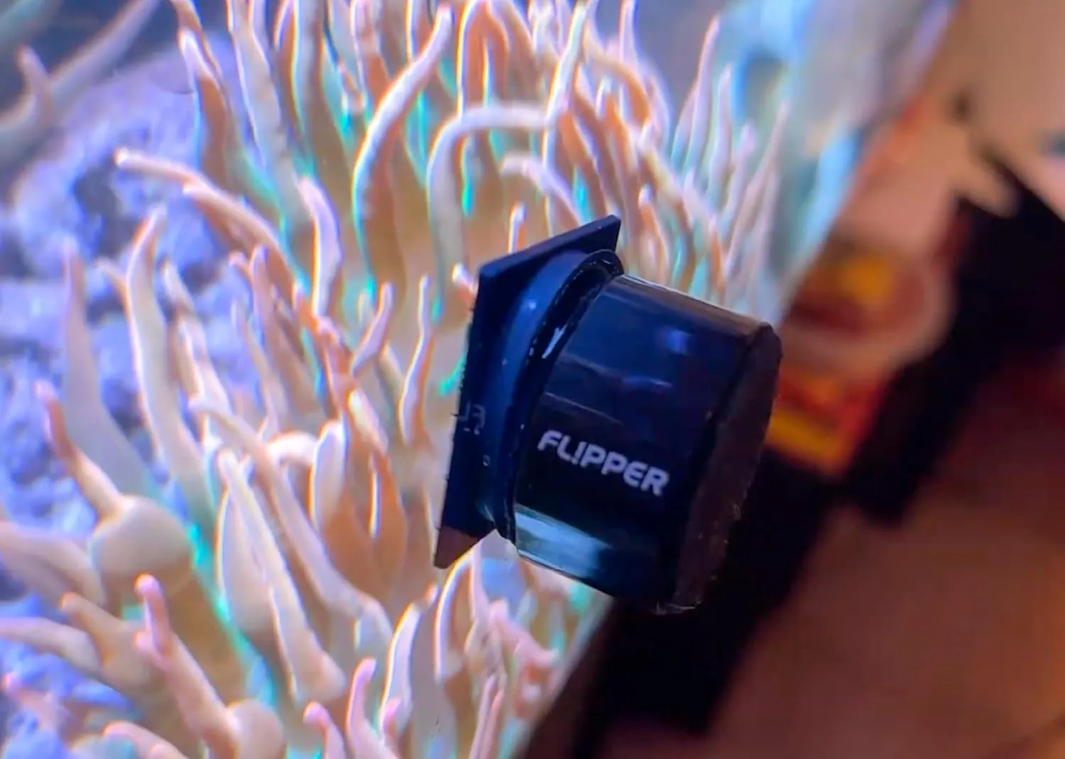 Flipper Pico 2-in-1 reservblad akvariemagnet 4-pack glas akryl