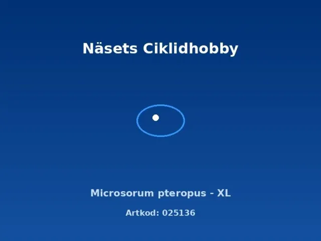 Näsets Ciklidhobby Microsorum XL akvarieväxt javaormbunke