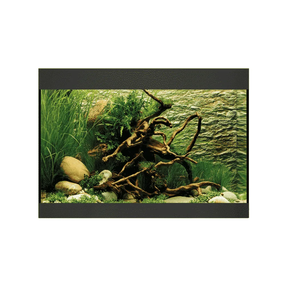 Näsets Ciklidhobby StyleLine 125 akvarium svart