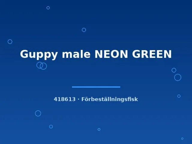Näsets Ciklidhobby Guppy Neon Green hane akvariefisk lg
