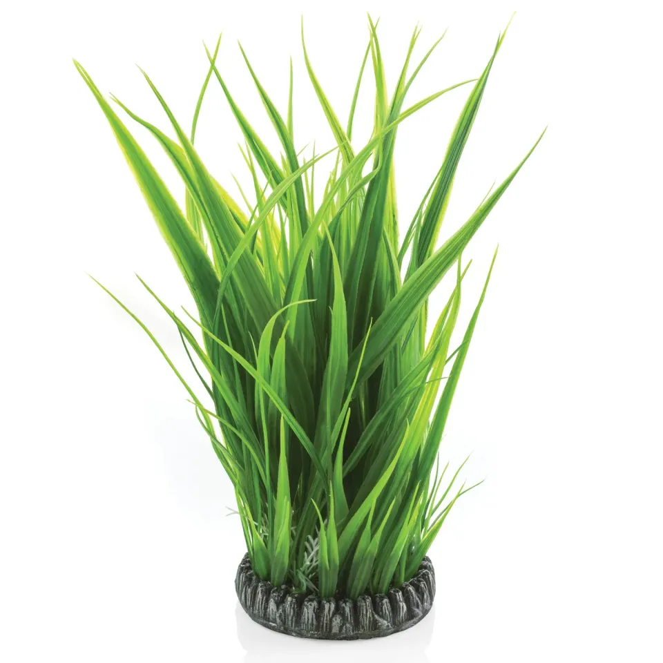 biOrb Grass Ring stor akvariedekoration 30 cm grön